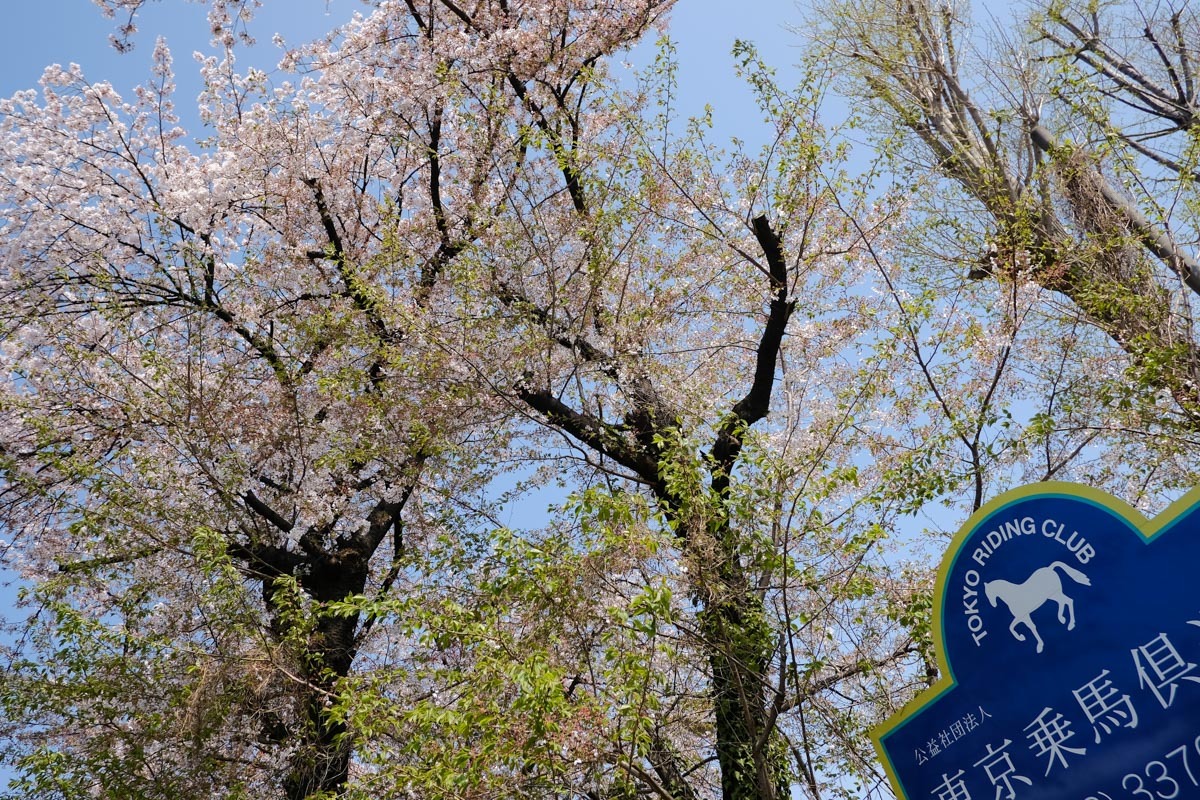 c0084666_16191500.jpg