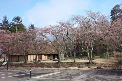 b0063468_226693.jpg