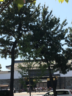 三条麸屋町通へ_f0363168_23451732.png