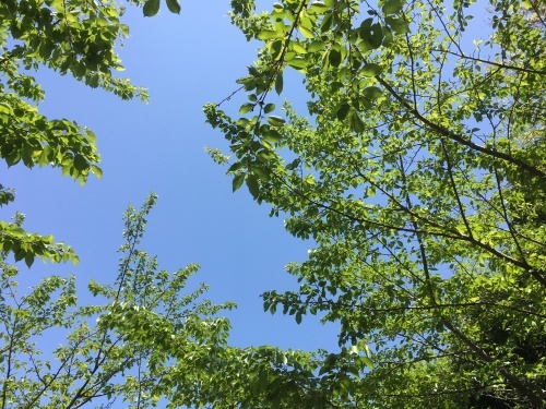b0338574_22091464.jpeg