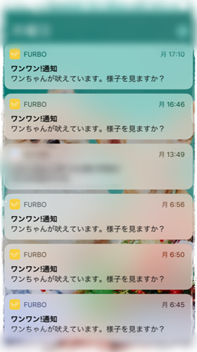 f0207979_232283.png