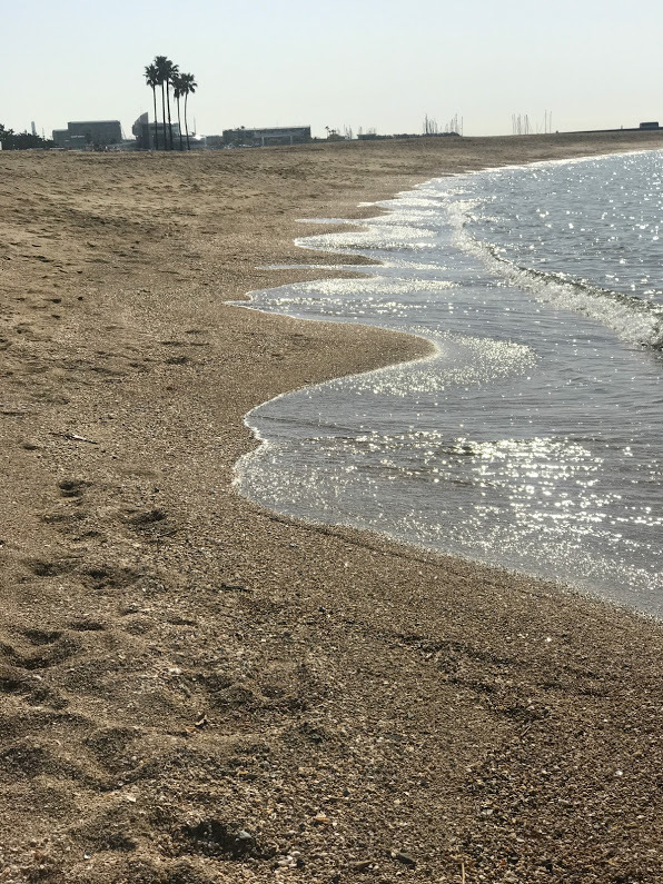 e0024081_13535890.jpg