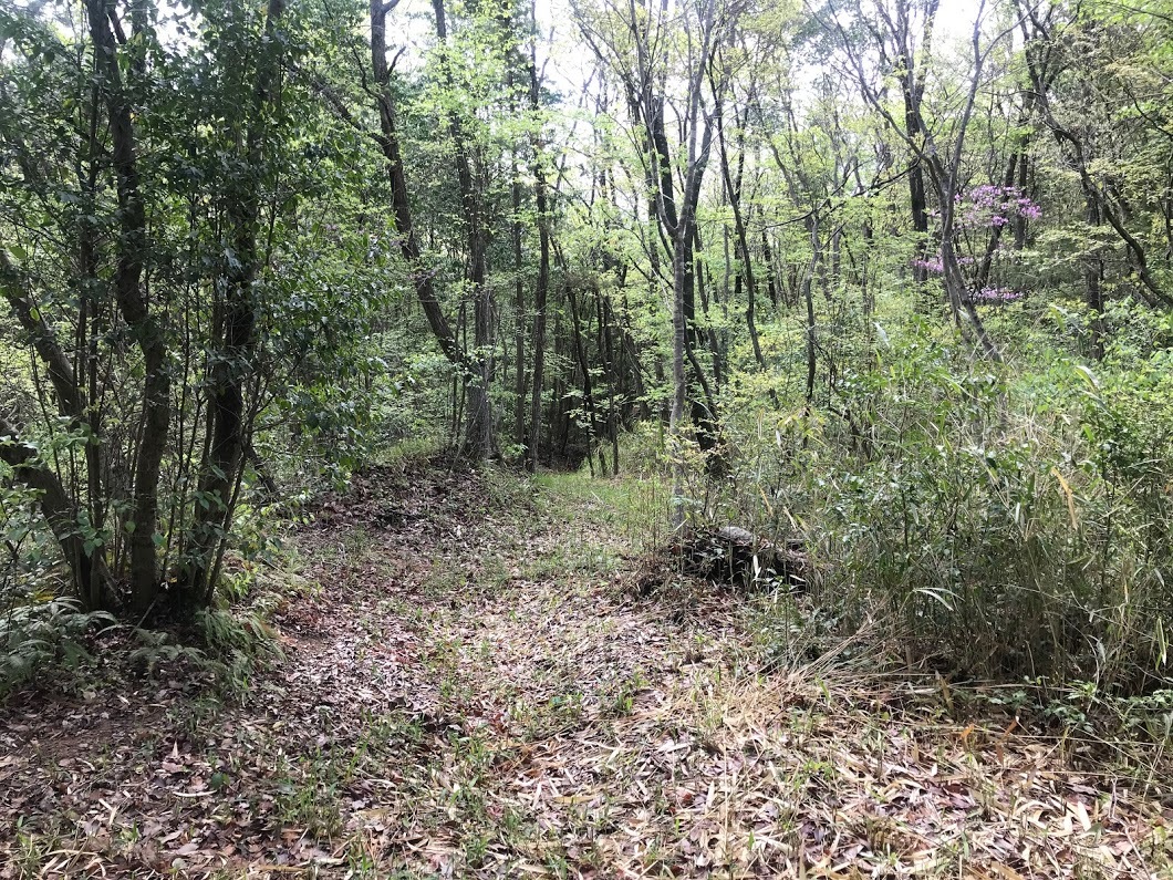 e0024081_14025999.jpg