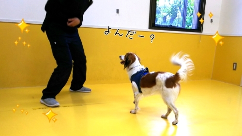 トレーニングブログ_f0357682_21405617.jpg