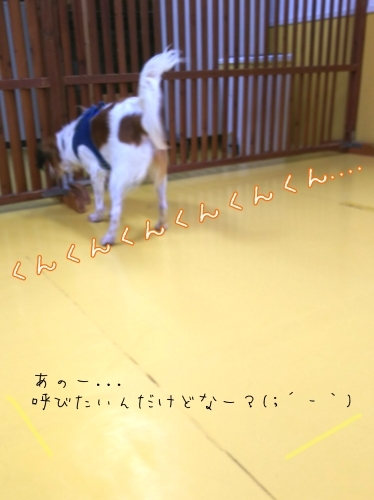 トレーニングブログ_f0357682_21421762.jpg