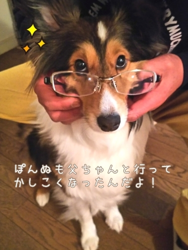 トレーニングブログ_f0357682_22410599.jpg