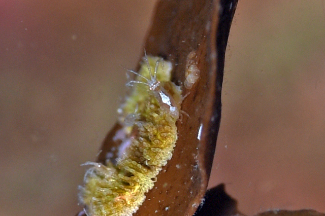 b0137083_17363567.jpg