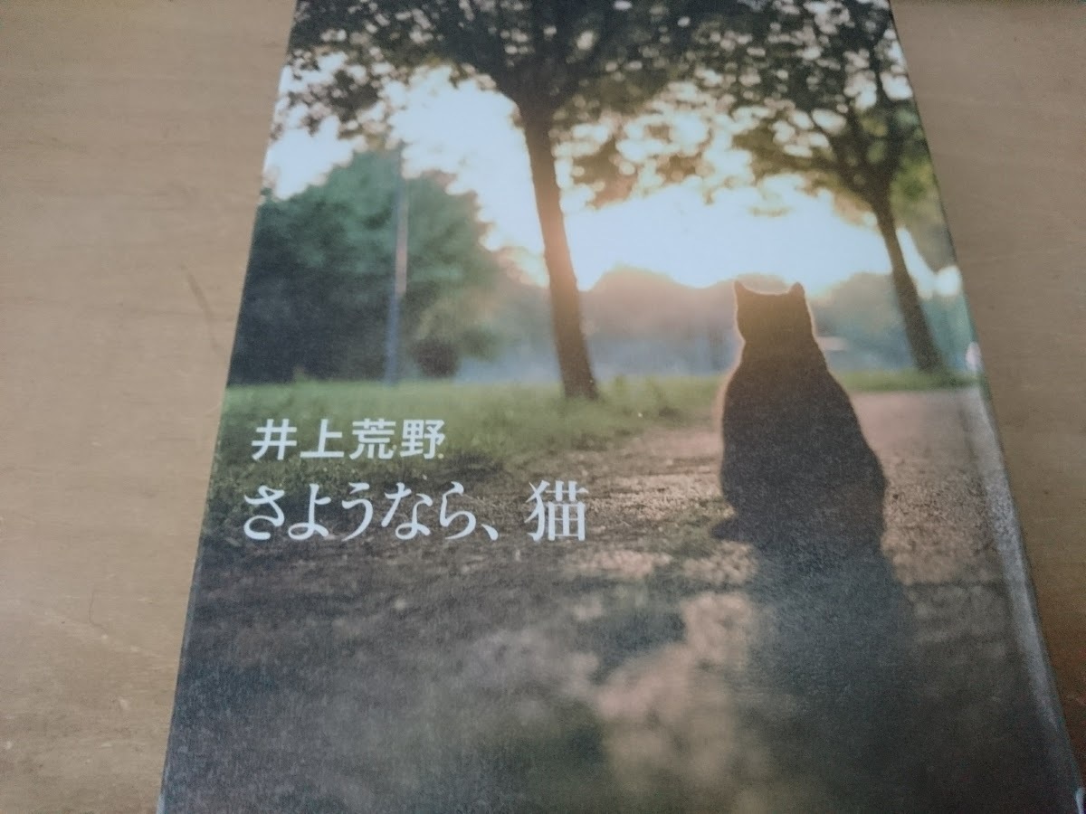 20年ぶりぐらいに_f0197985_19083015.jpg