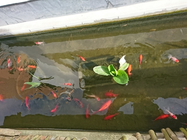新たなチケット取り扱いのもの。そして隣の部屋はガラス展!_e0046190_17433353.jpg
