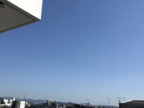 f0347891_14540229.jpeg