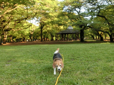 a0319693_7335719.jpg