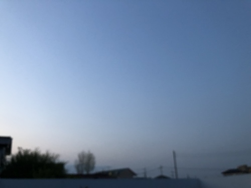 f0215094_19371454.jpeg