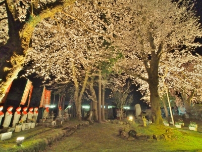 千手院「深淵のしだれ桜！」_c0336902_19530822.jpg