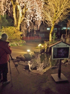 千手院「深淵のしだれ桜！」_c0336902_19533018.jpg