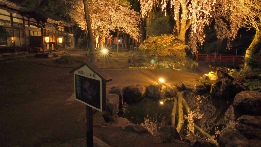 千手院「深淵のしだれ桜！」_c0336902_19545343.jpg