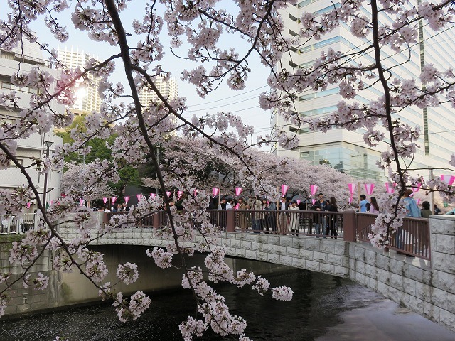 お七の井戸と太鼓橋（目黒史跡散歩⑤）_c0187004_11082635.jpg