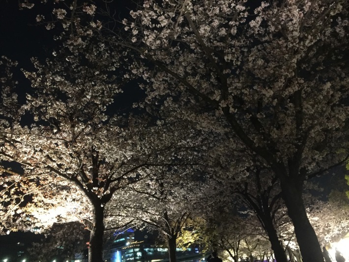c0180209_23003949.jpeg