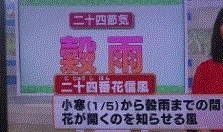 f0231709_15140985.gif