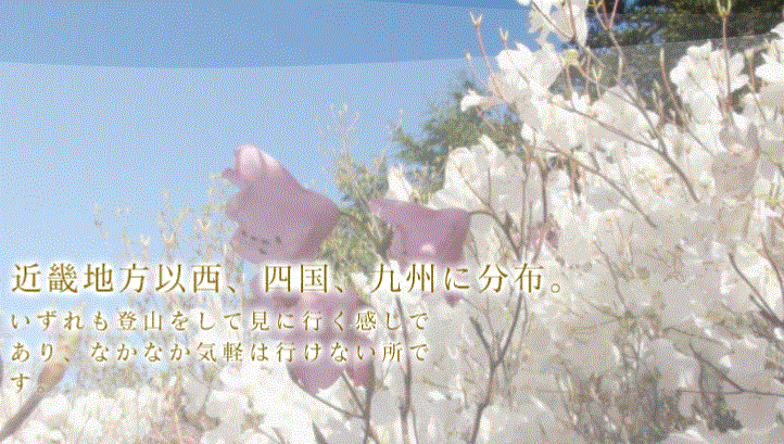 f0231709_16191865.gif