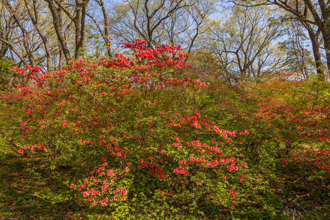 b0010915_21363952.jpg