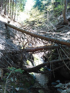 c0359615_21382904.jpg