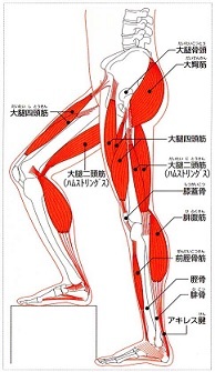 経年変化は避けられないか(^_^;)　草間彌生展は行けないな～^^;　田んぼ_e0143915_15482122.jpg