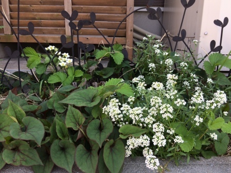 f0225917_17062226.jpeg