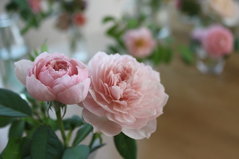 ＊ ５月の flower room　無農薬の薔薇を使ったアレンジメント作り＊_a0161718_15403624.jpg