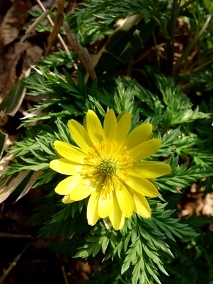 c0204725_19252046.jpg