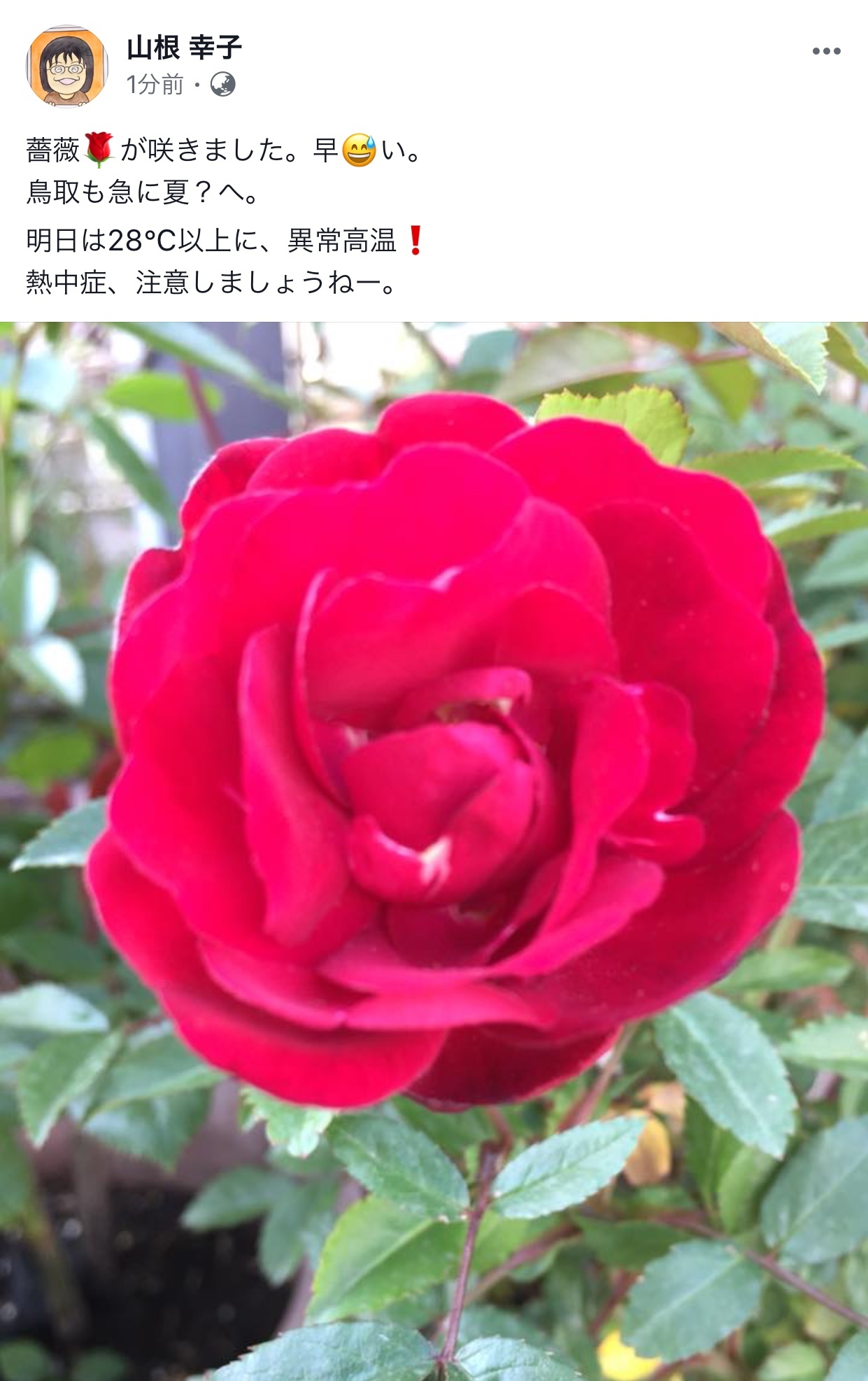 b0182530_16073258.jpeg