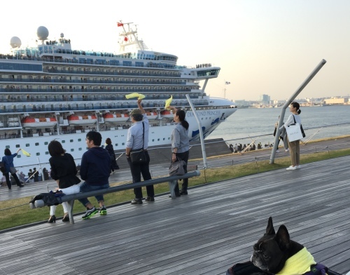 b0113232_20134909.jpeg