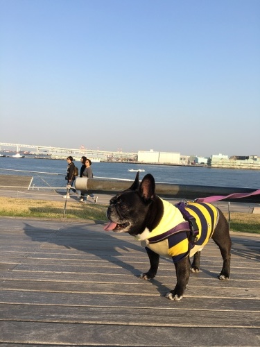 b0113232_20145371.jpeg