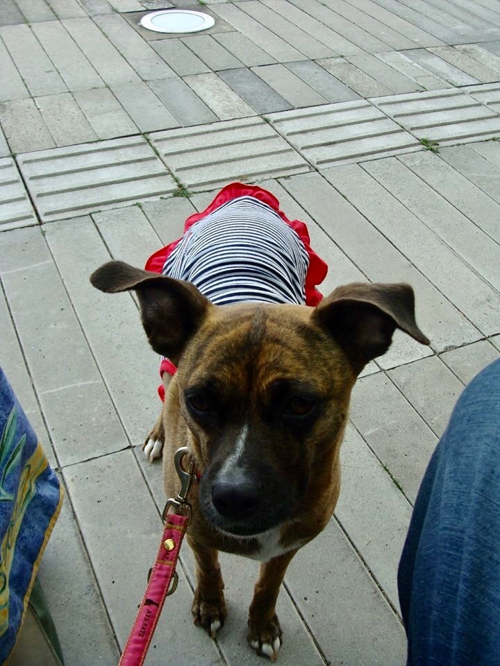 d0269832_08353970.jpeg