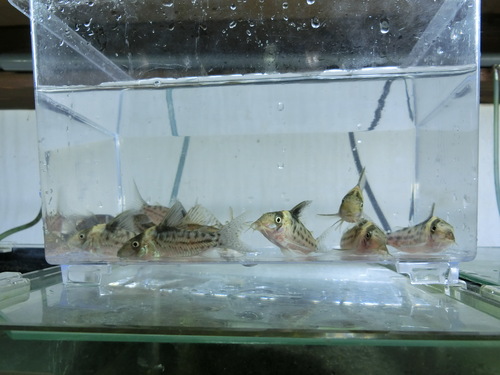 f0304633_2024233.jpg