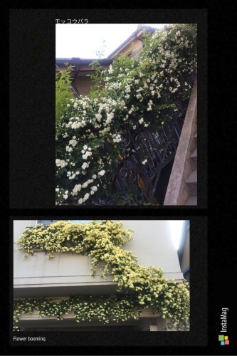 c0301141_00275813.jpeg