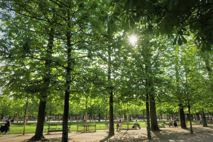e0300042_02410984.jpg
