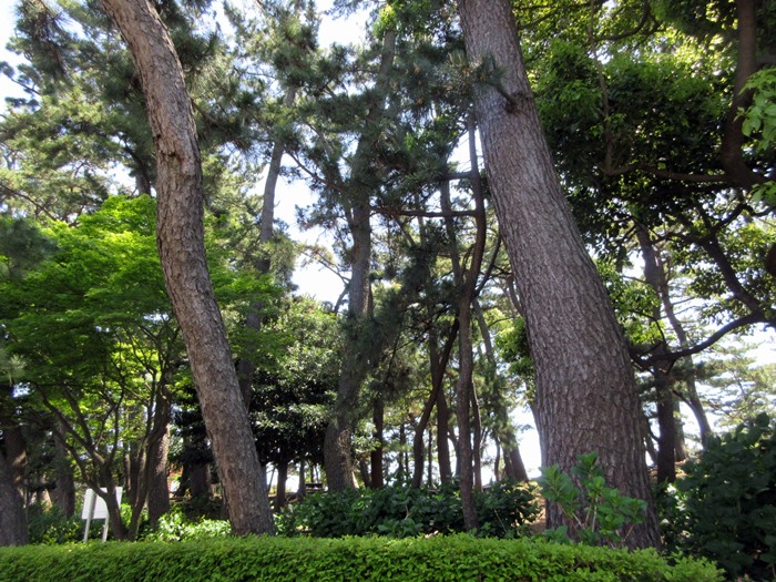 b0009849_15145255.jpg