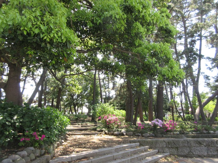 b0009849_1515959.jpg
