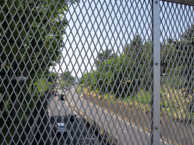 b0009849_15464619.jpg