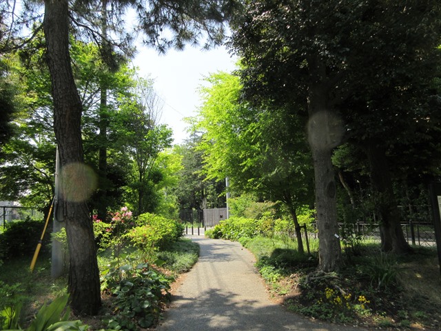 b0009849_15473651.jpg