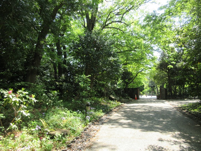 b0009849_15502289.jpg