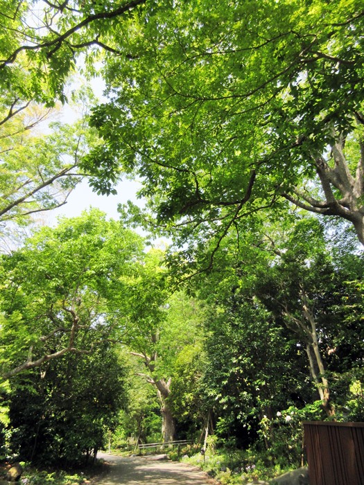b0009849_1550538.jpg