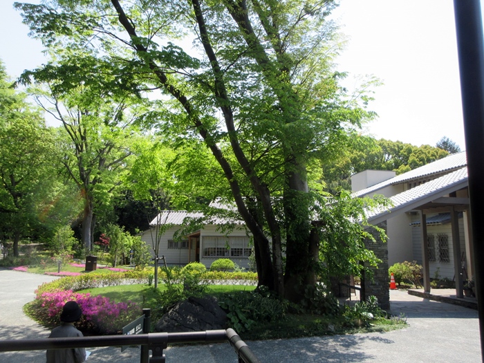 b0009849_15522764.jpg
