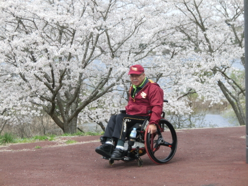 お花見外出_c0350752_13170591.jpg
