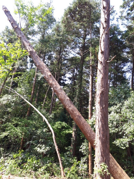 e0324952_21325785.jpg