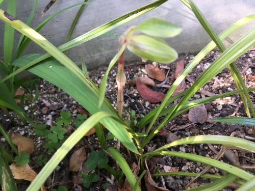 a0152454_07051165.jpeg