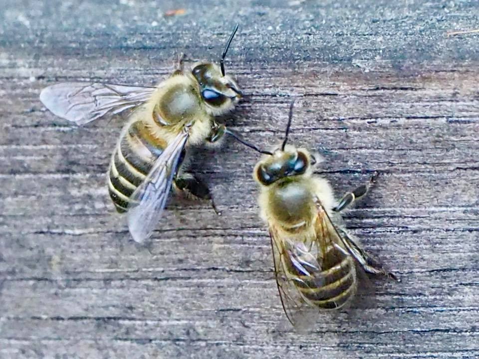 c0123363_11302096.jpg
