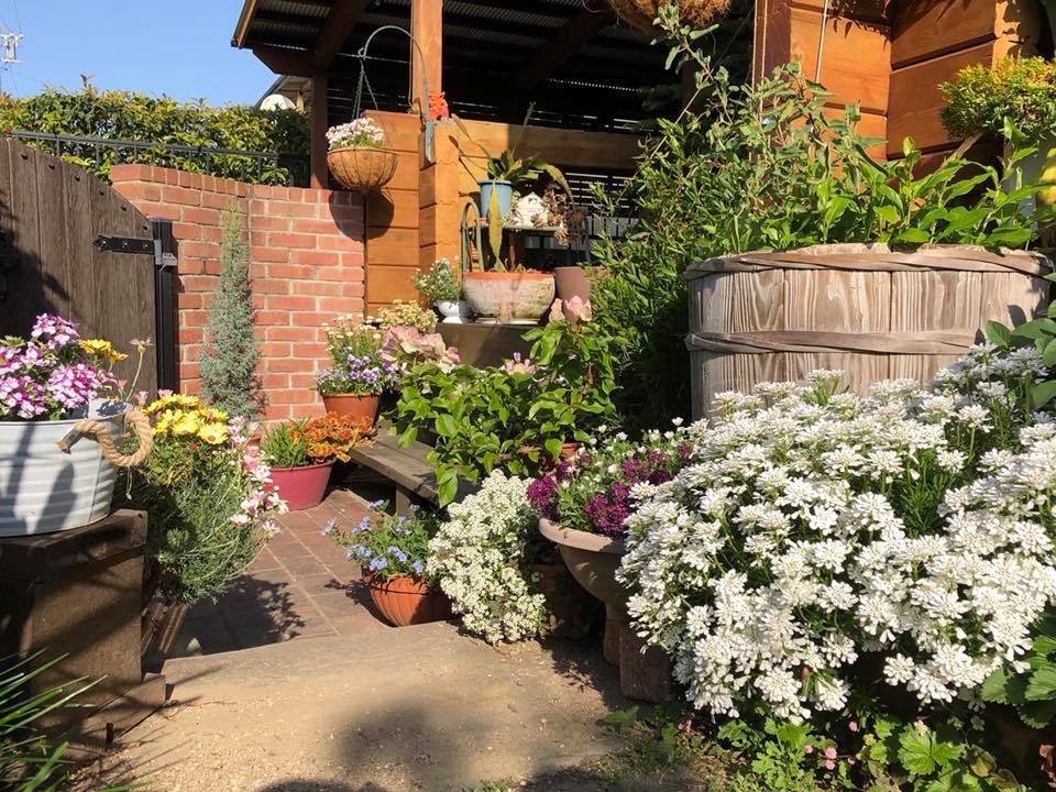 c0123363_11521719.jpg