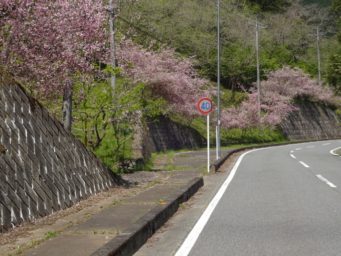 吉田のカイドウと合角ダム～三峰口駅～公園橋_e0124473_16494596.jpg