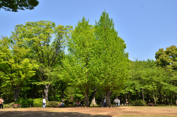 北の丸公園散策_b0338976_15523134.jpg